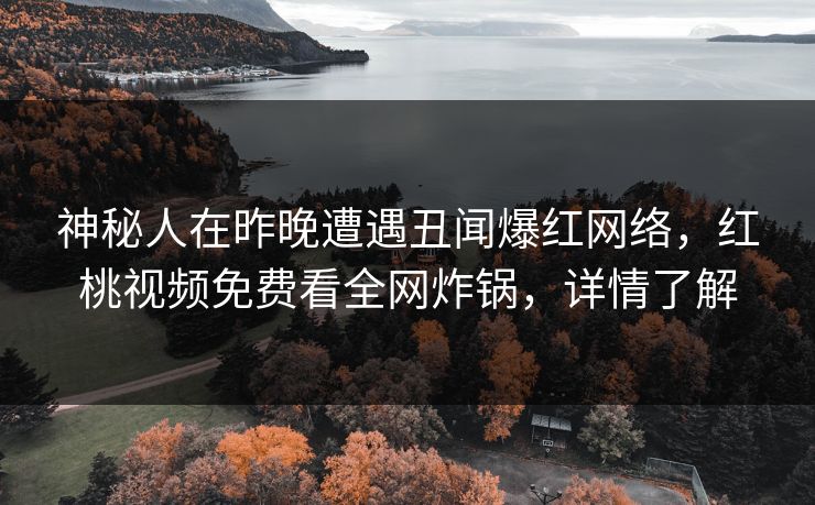神秘人在昨晚遭遇丑闻爆红网络，红桃视频免费看全网炸锅，详情了解