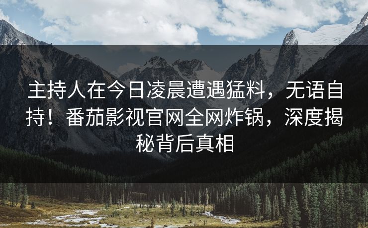 主持人在今日凌晨遭遇猛料，无语自持！番茄影视官网全网炸锅，深度揭秘背后真相