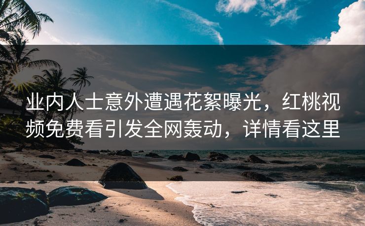 业内人士意外遭遇花絮曝光，红桃视频免费看引发全网轰动，详情看这里