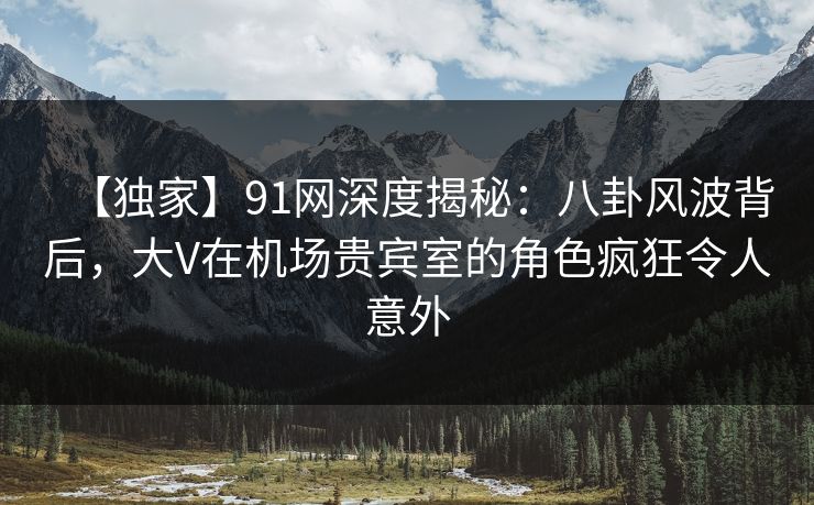 【独家】91网深度揭秘：八卦风波背后，大V在机场贵宾室的角色疯狂令人意外