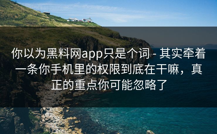 你以为黑料网app只是个词 - 其实牵着一条你手机里的权限到底在干嘛，真正的重点你可能忽略了